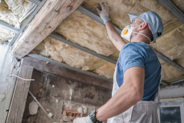 Best Cellulose Insulation in Salt Lake City, UT