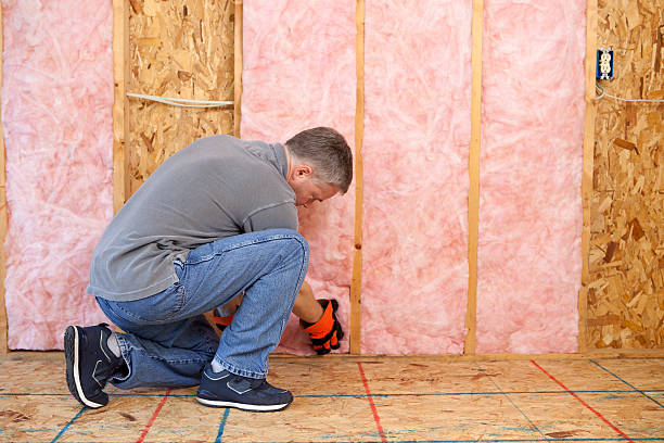 Best Geographic-Specific Insulation Services in Salt Lake City, UT